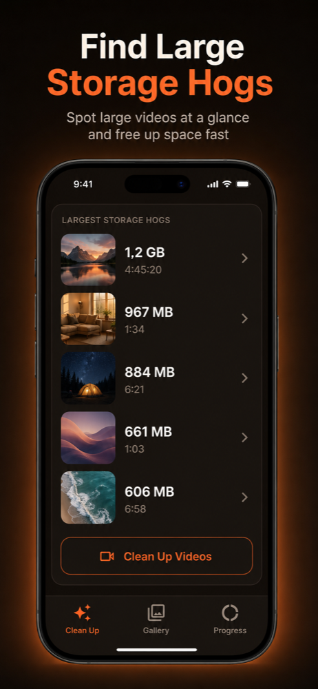 List of the largest videos sorted by storage size